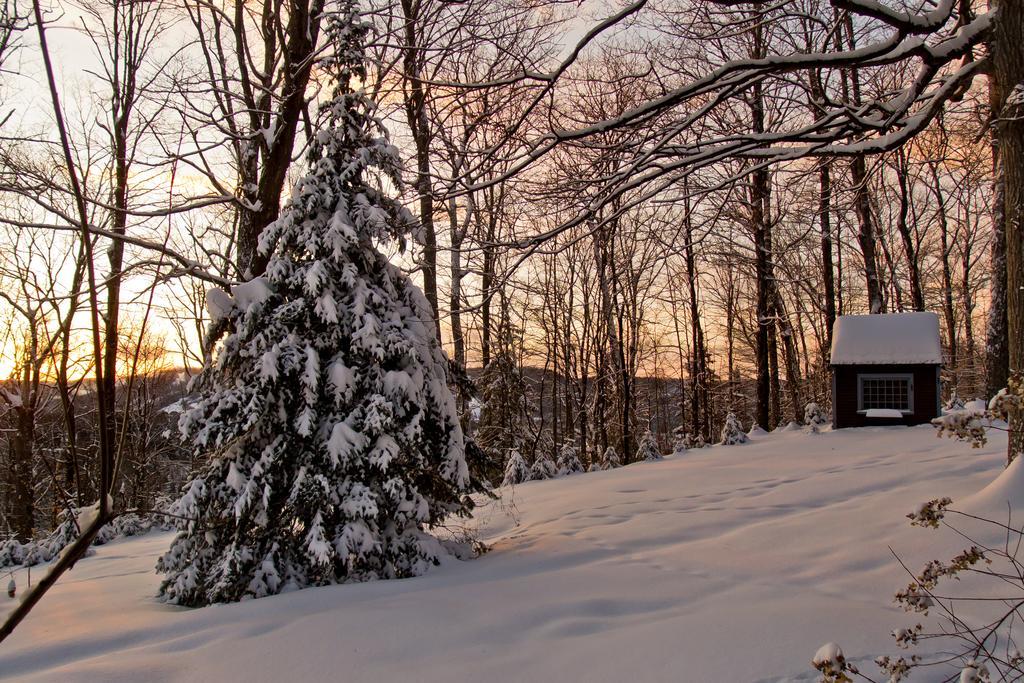 Le Petit Clocher Gite Touristique B & B Saint-Sauveur-des-Monts Dış mekan fotoğraf